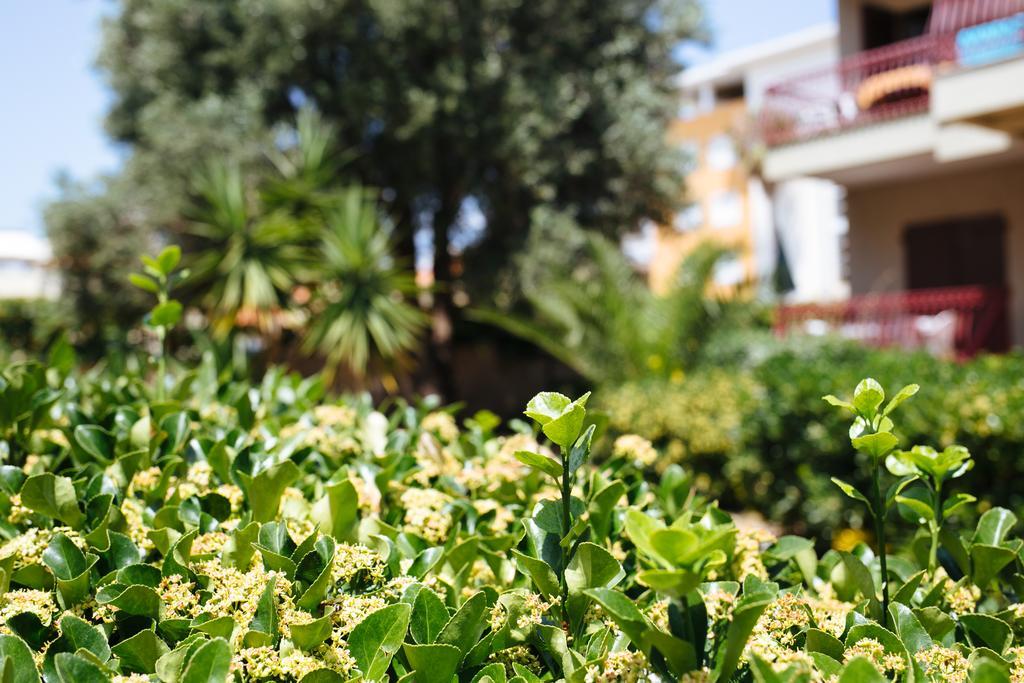 S'Arena Bianca Apartment Alguer Exterior foto